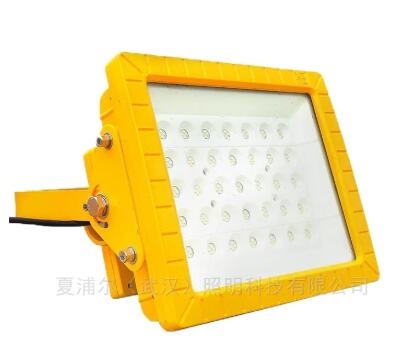 LED应急防爆灯