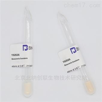 球孢白僵菌-BNCC菌株