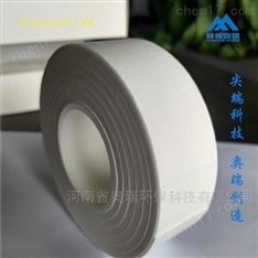 賽默飛顆粒物進(jìn)口GF10紙帶