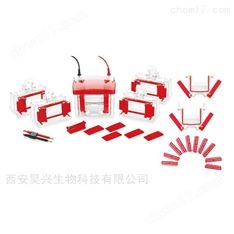 韋克斯-迷你垂直電泳槽電泳儀